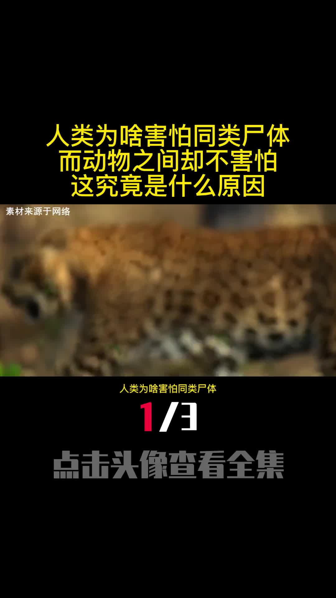 人类为啥害怕同类尸体而动物之间却不害怕这究竟是什么原因1