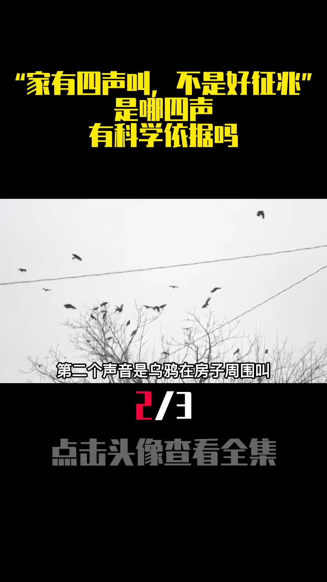 家有四声叫不是好征兆是哪四声有科学依据吗2