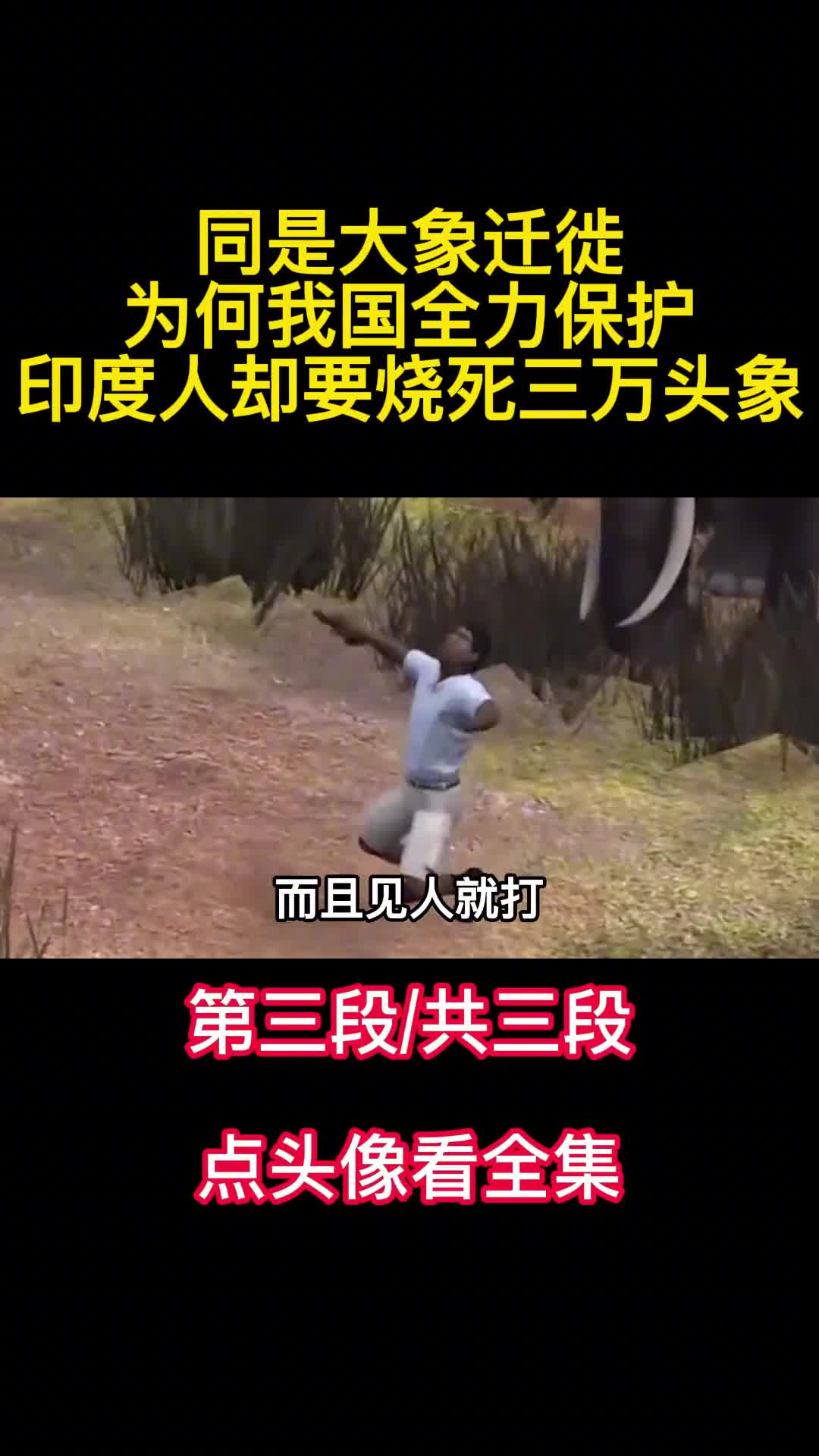 同是大象迁徙为何我国全力保护印度人却要烧死三万头象3