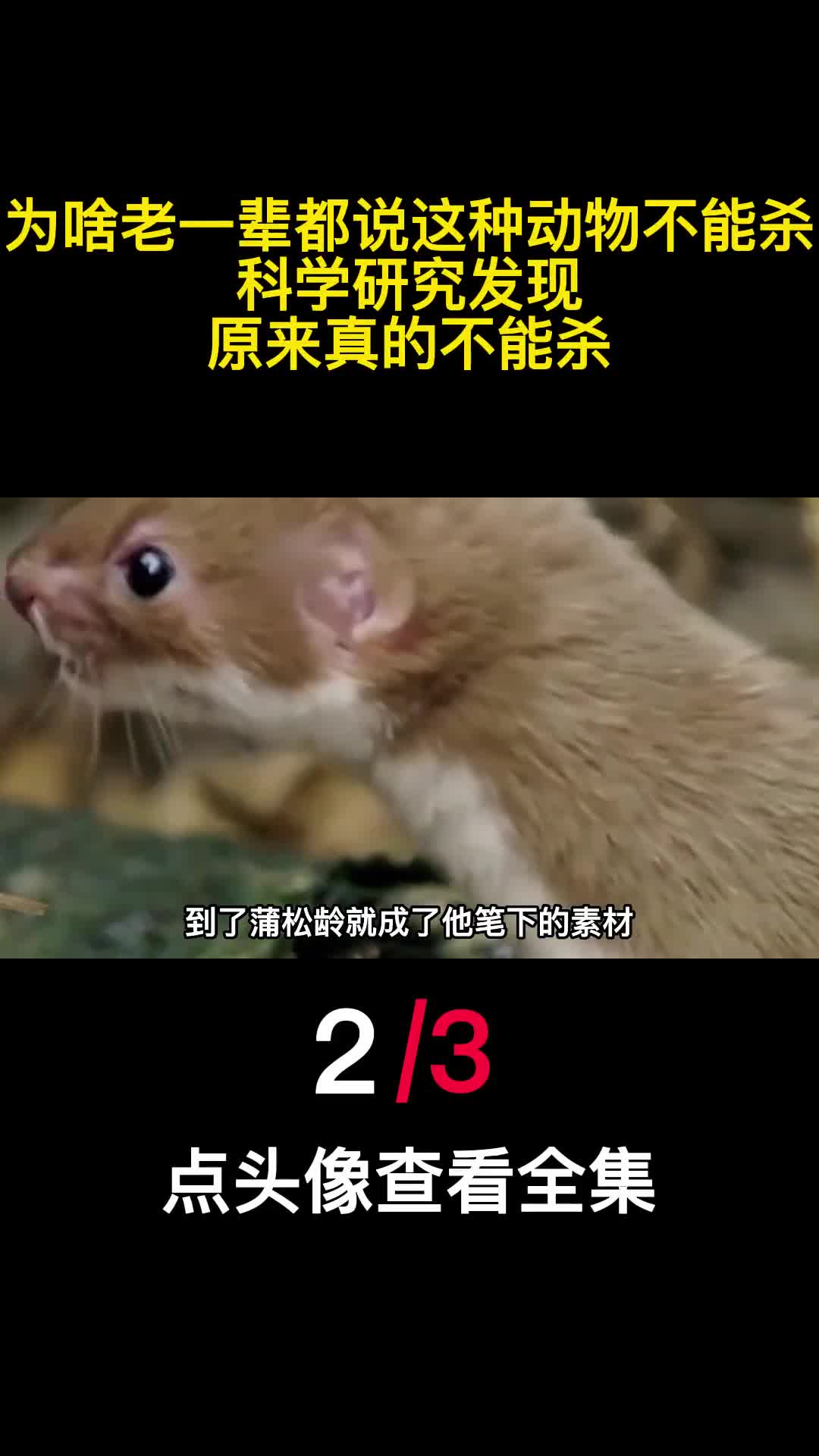 为啥老一辈都说这种动物不能杀科学研究发现原来真的不能杀2
