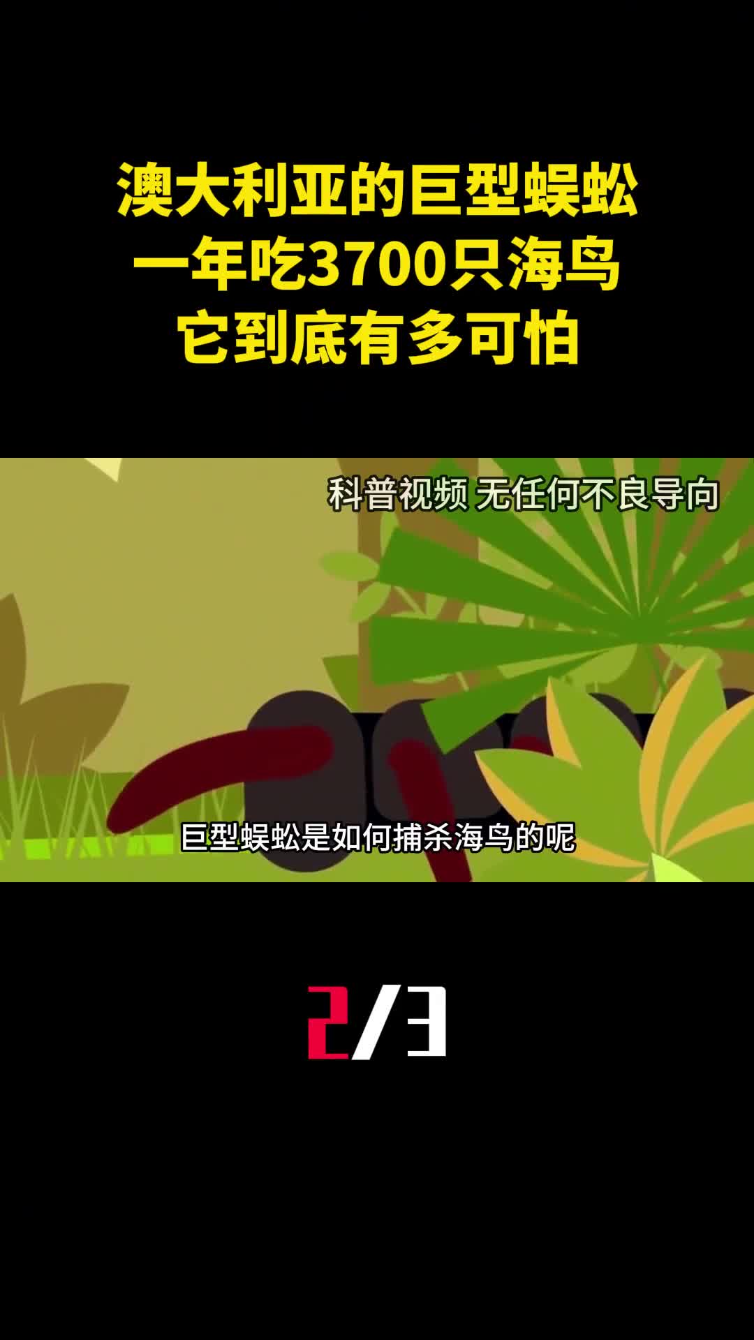 澳大利亚的巨型蜈蚣一年吃3700只海鸟它到底有多可怕2