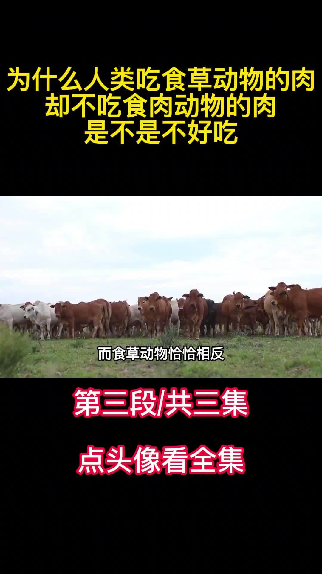 为什么人类吃食草动物的肉却不吃食肉动物的肉是不是不好吃3