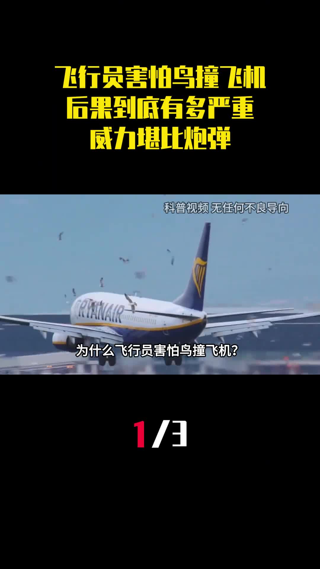 为什么飞行员害怕鸟撞飞机后果到底有多严重威力堪比炮弹1