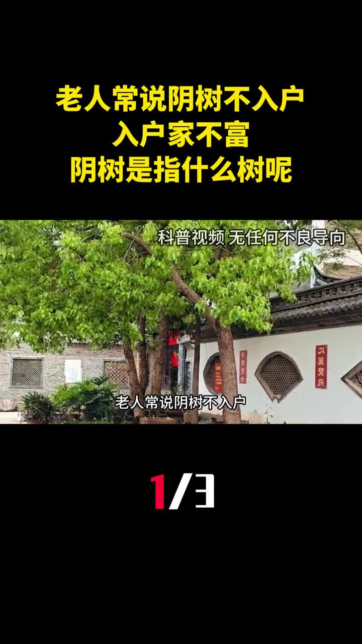 老人常说阴树不入户入户家不富阴树究竟是指什么树呢1