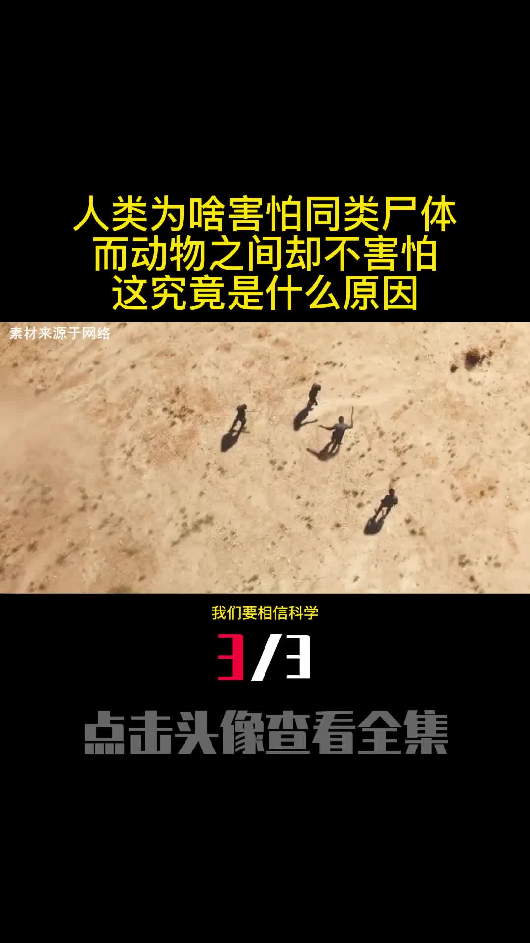 人类为啥害怕同类尸体而动物之间却不害怕这究竟是什么原因3