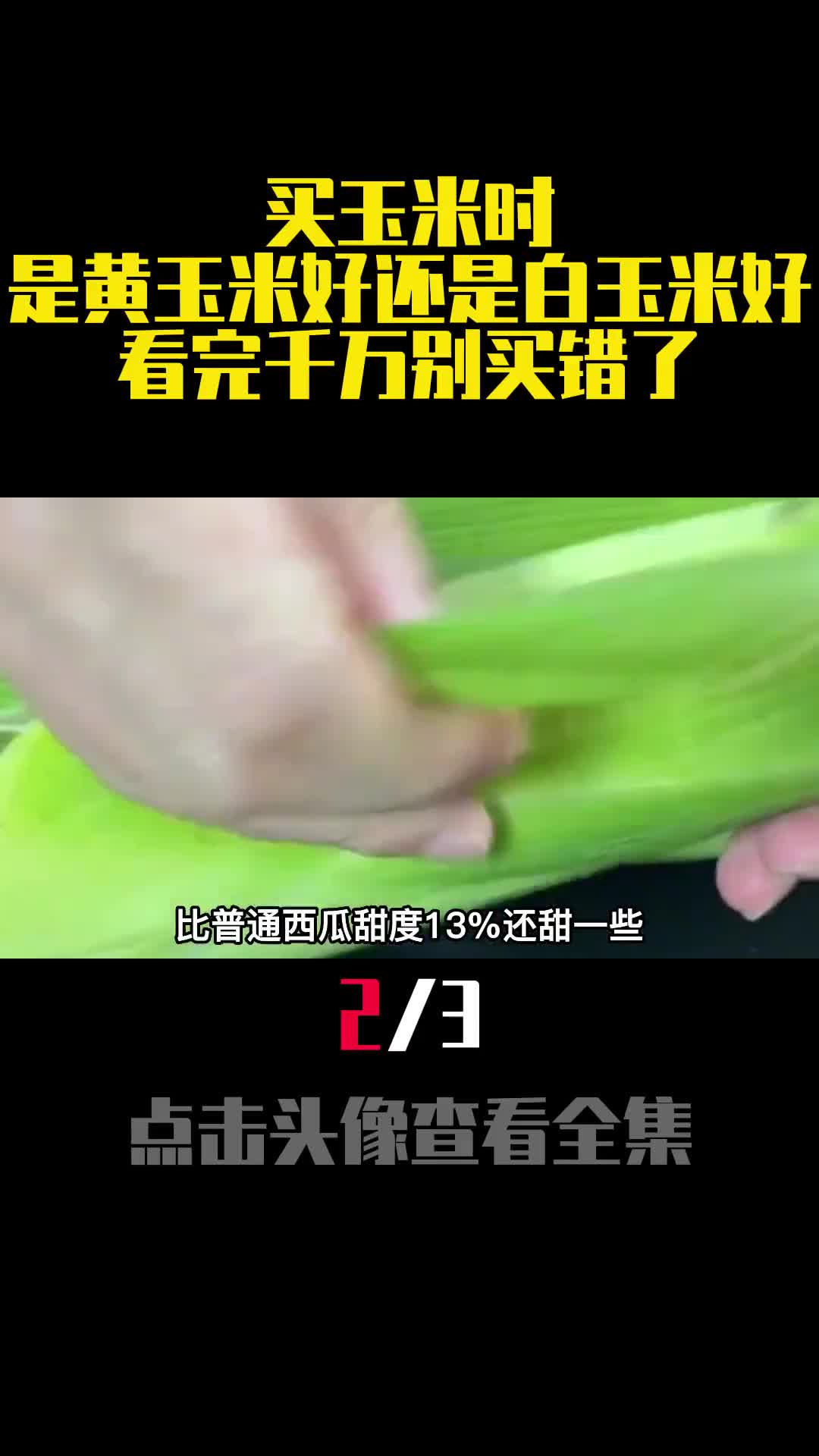 买玉米时是黄玉米好还是白玉米好看完千万别买错了2