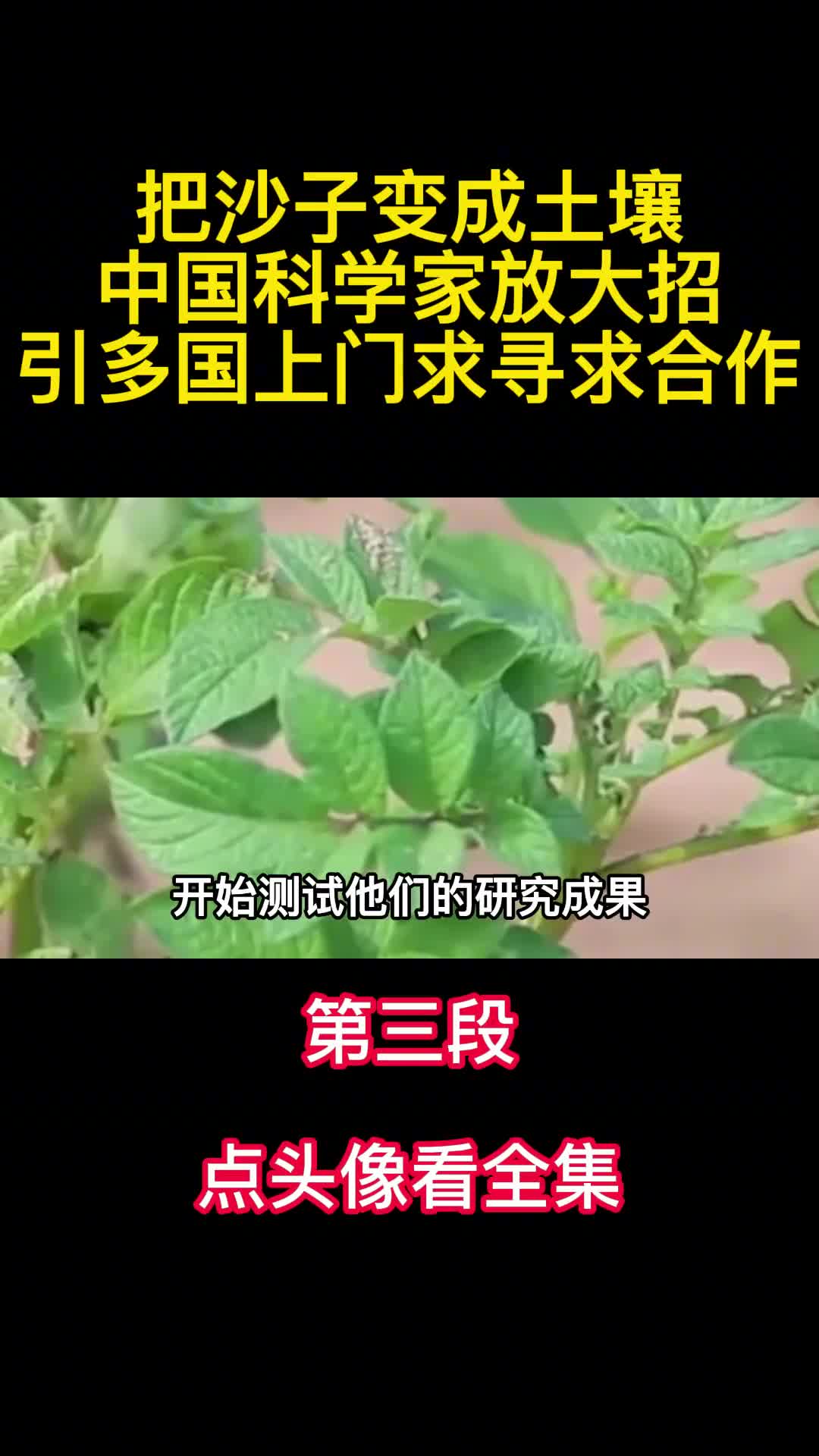 把沙子变成土壤中国科学家放大招引多国上门求寻求合作3