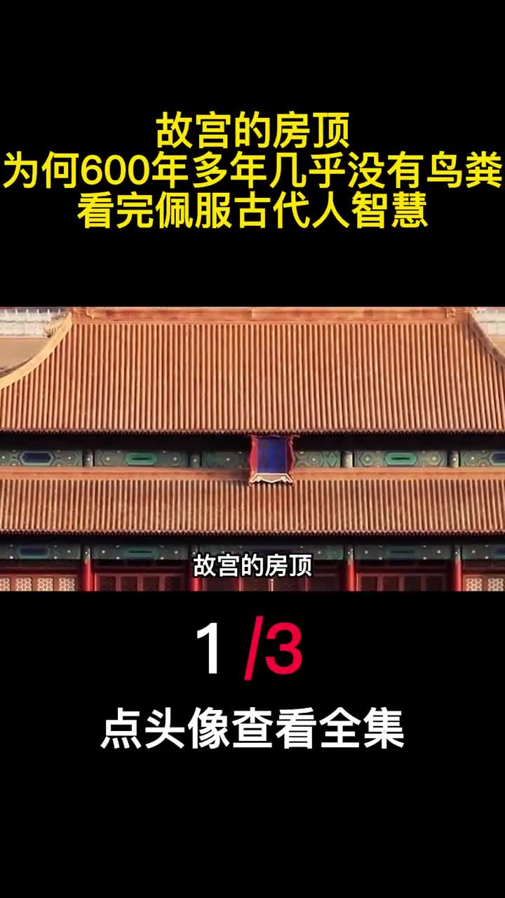 故宫的房顶为何600年多年几乎没有鸟粪看完佩服古代人智慧1