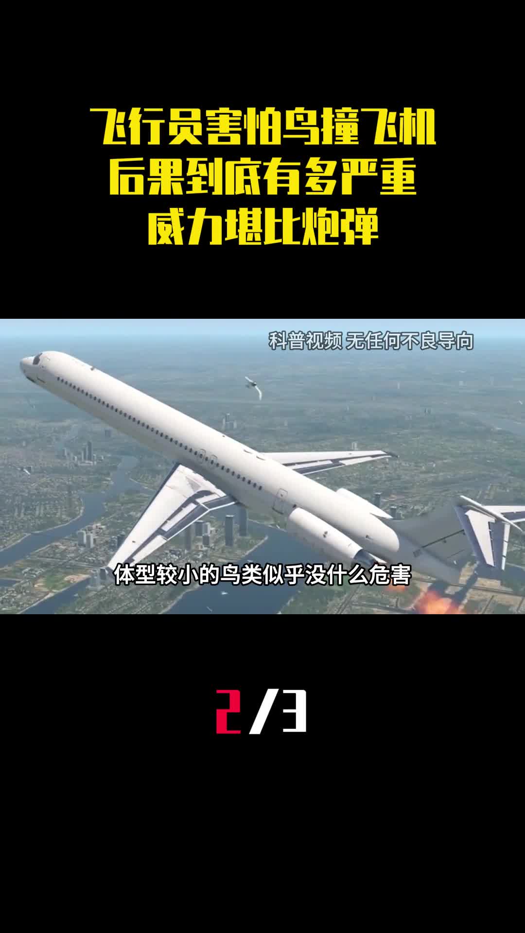 为什么飞行员害怕鸟撞飞机后果到底有多严重威力堪比炮弹2