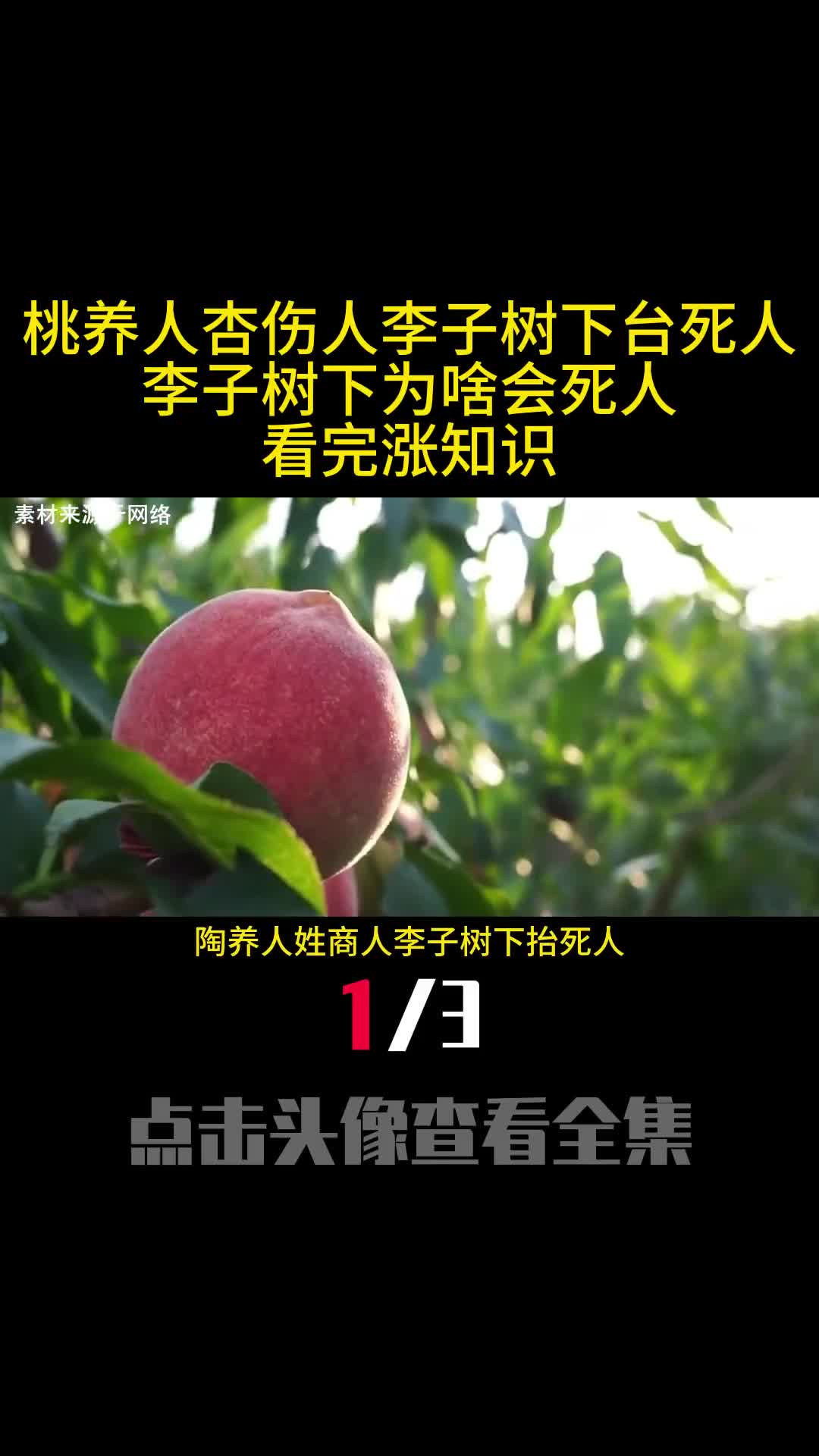 桃养人杏伤人李子树下台死人李子树下为啥会死人看完涨知识1