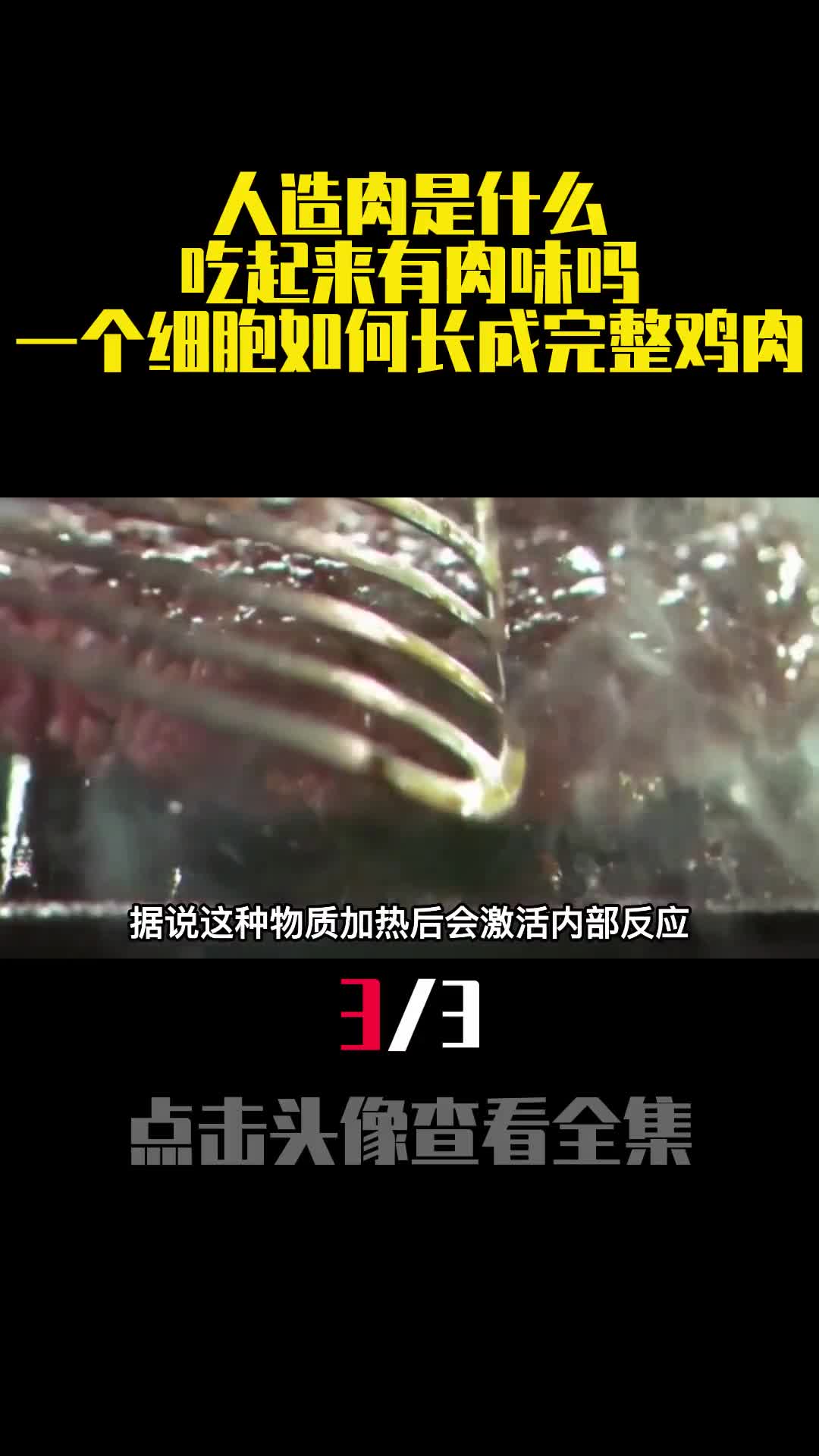 人造肉是什么吃起来有肉味吗一个细胞如何长成完整鸡肉3
