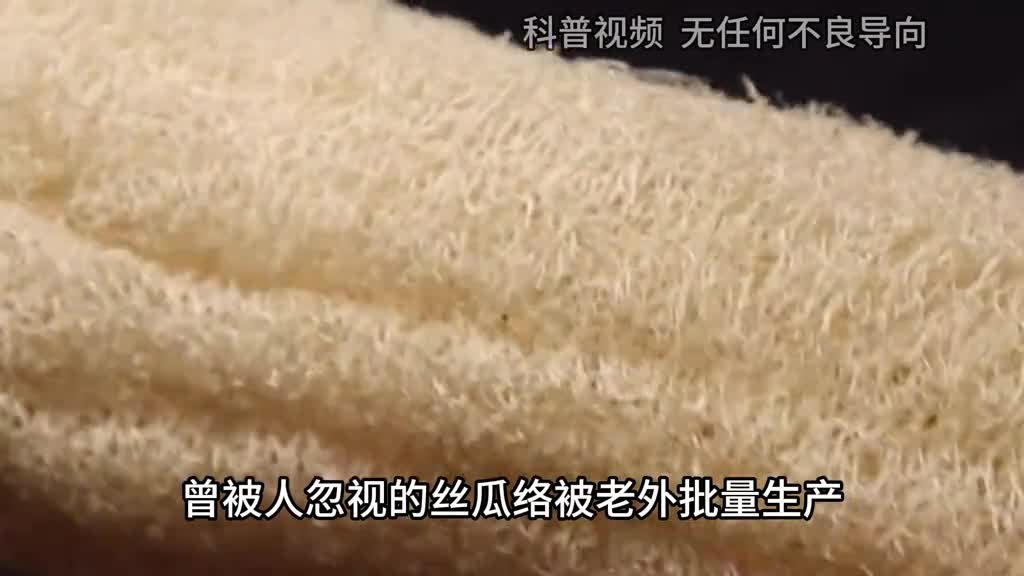 曾被人忽视的丝瓜络被老外批量生产如今年入300万美元1