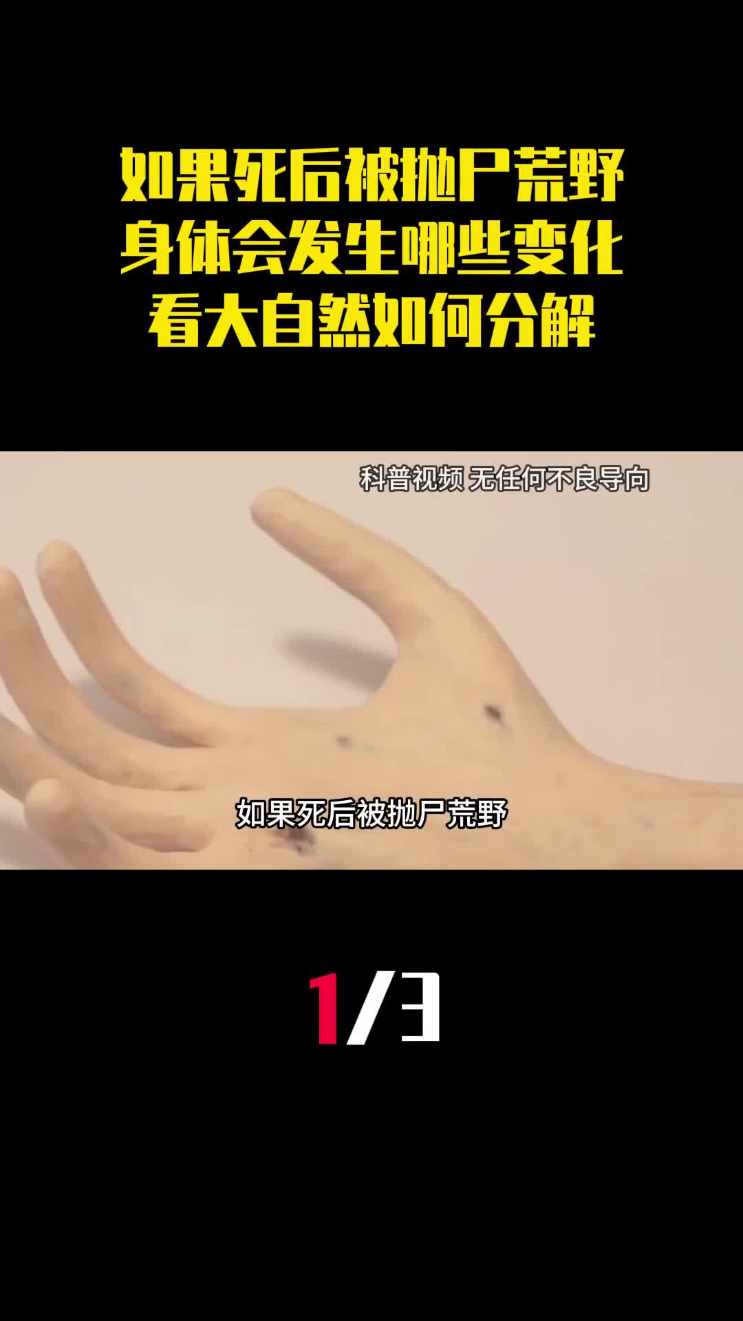 如果死后被抛尸荒野身体会发生哪些变化看大自然如何分解1