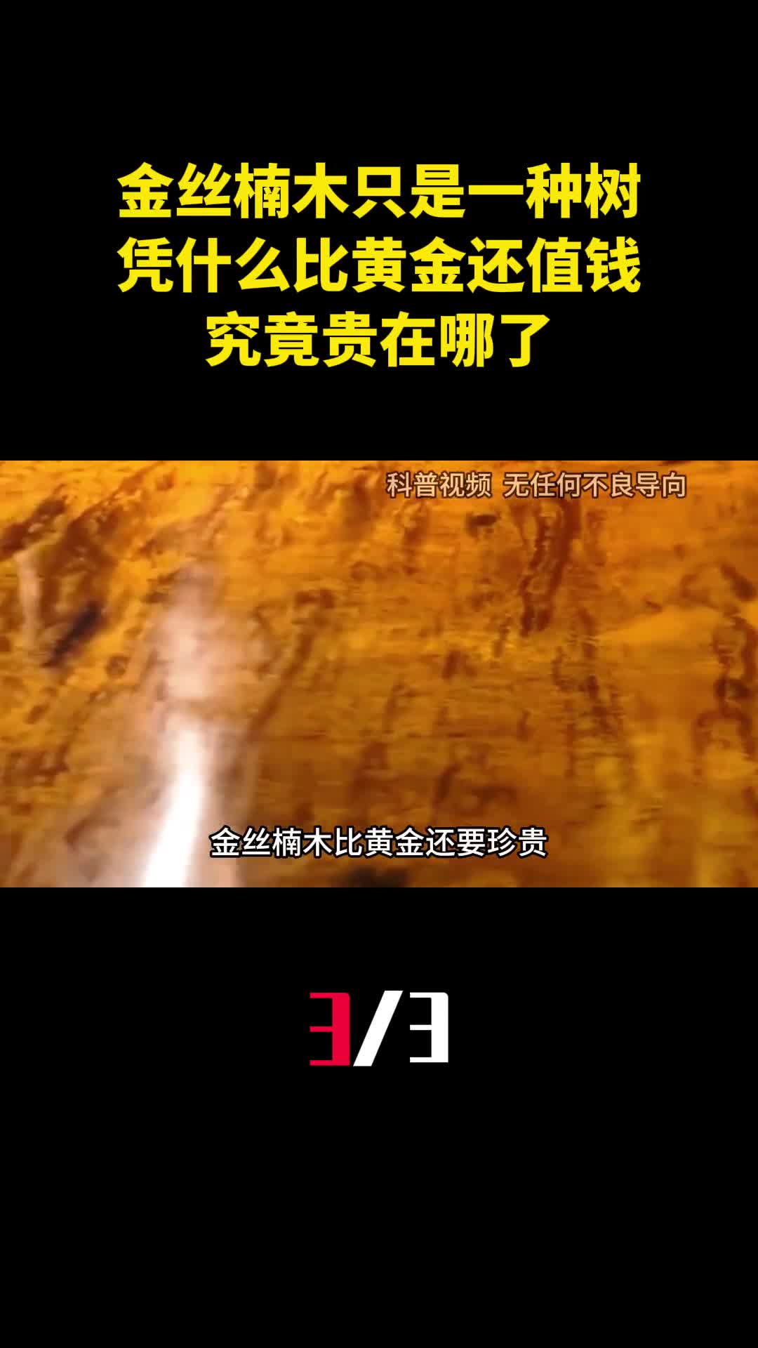 明明金丝楠木只是一种树凭什么比黄金还值钱究竟贵在哪了3