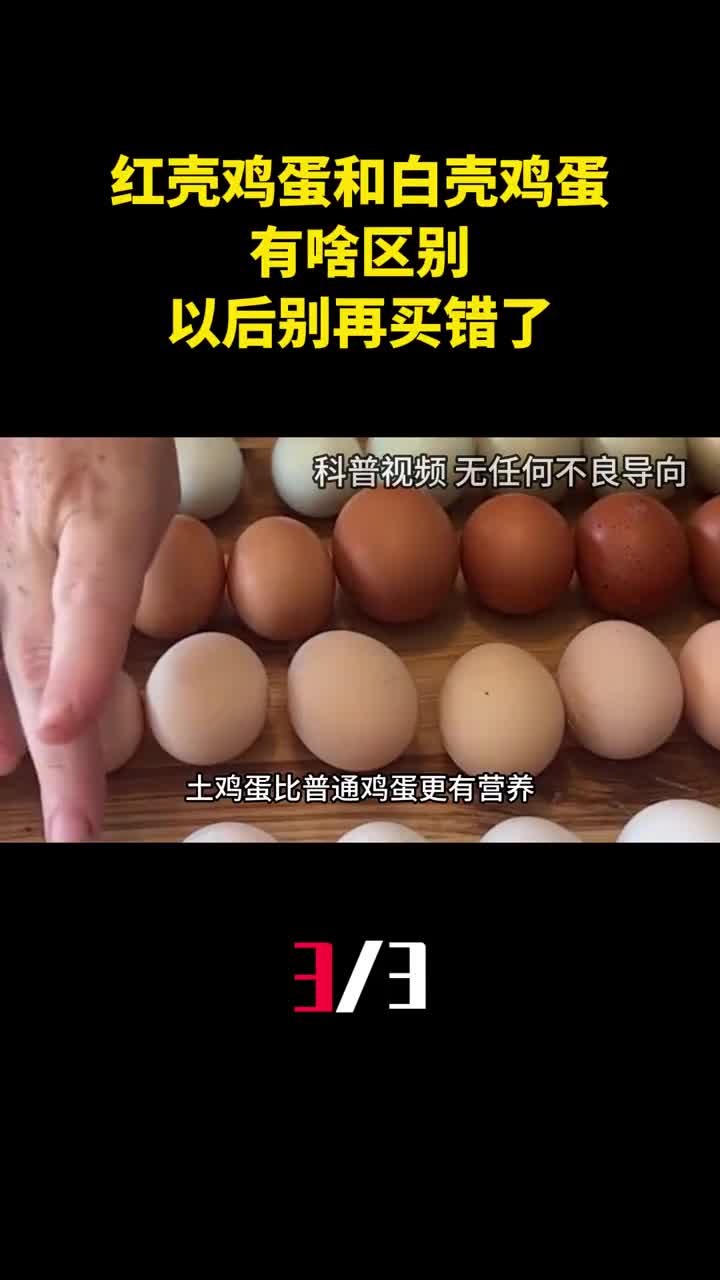 红壳鸡蛋和白壳鸡蛋有啥区别养殖户说漏嘴以后别再买错了3