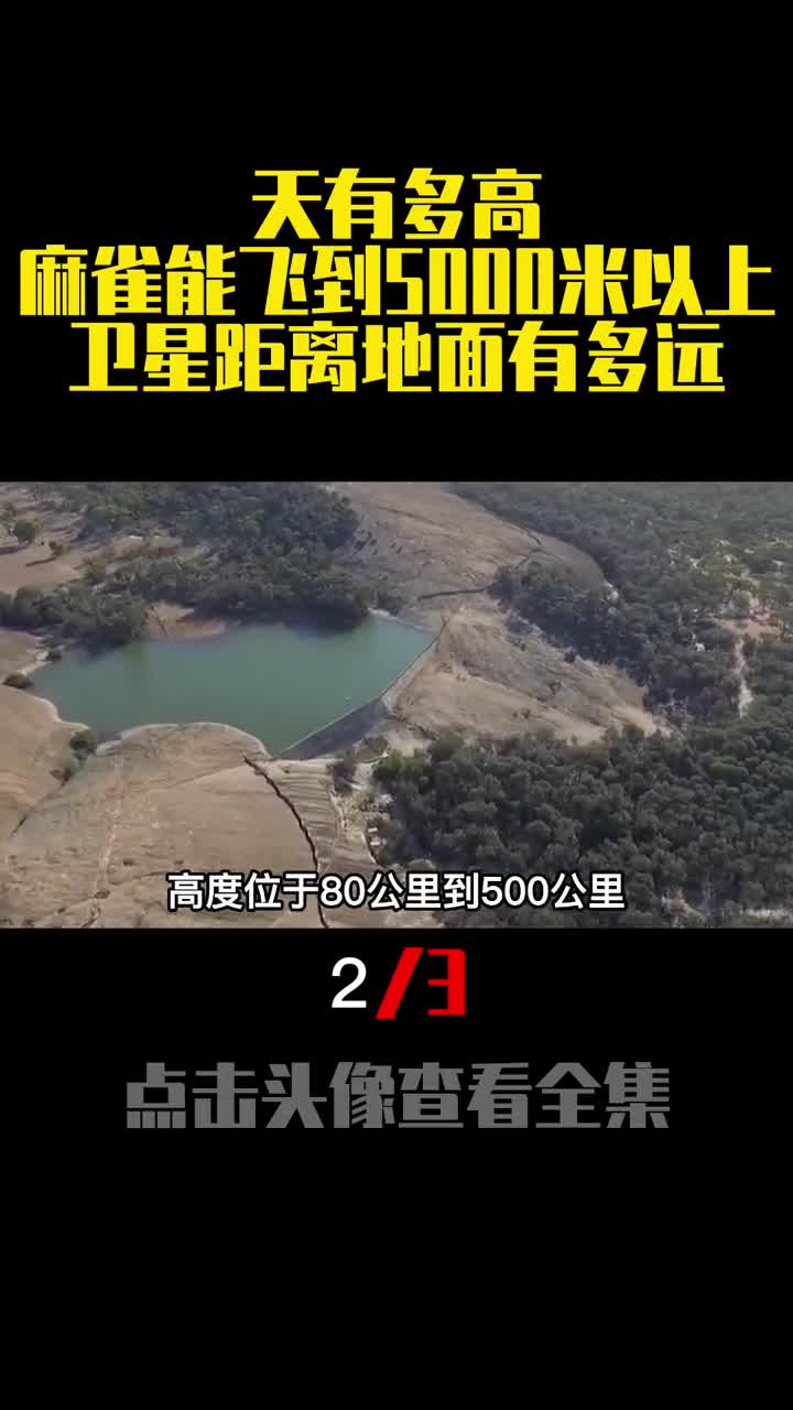 天有多高麻雀能飞到5000米以上卫星距离地面有多远2