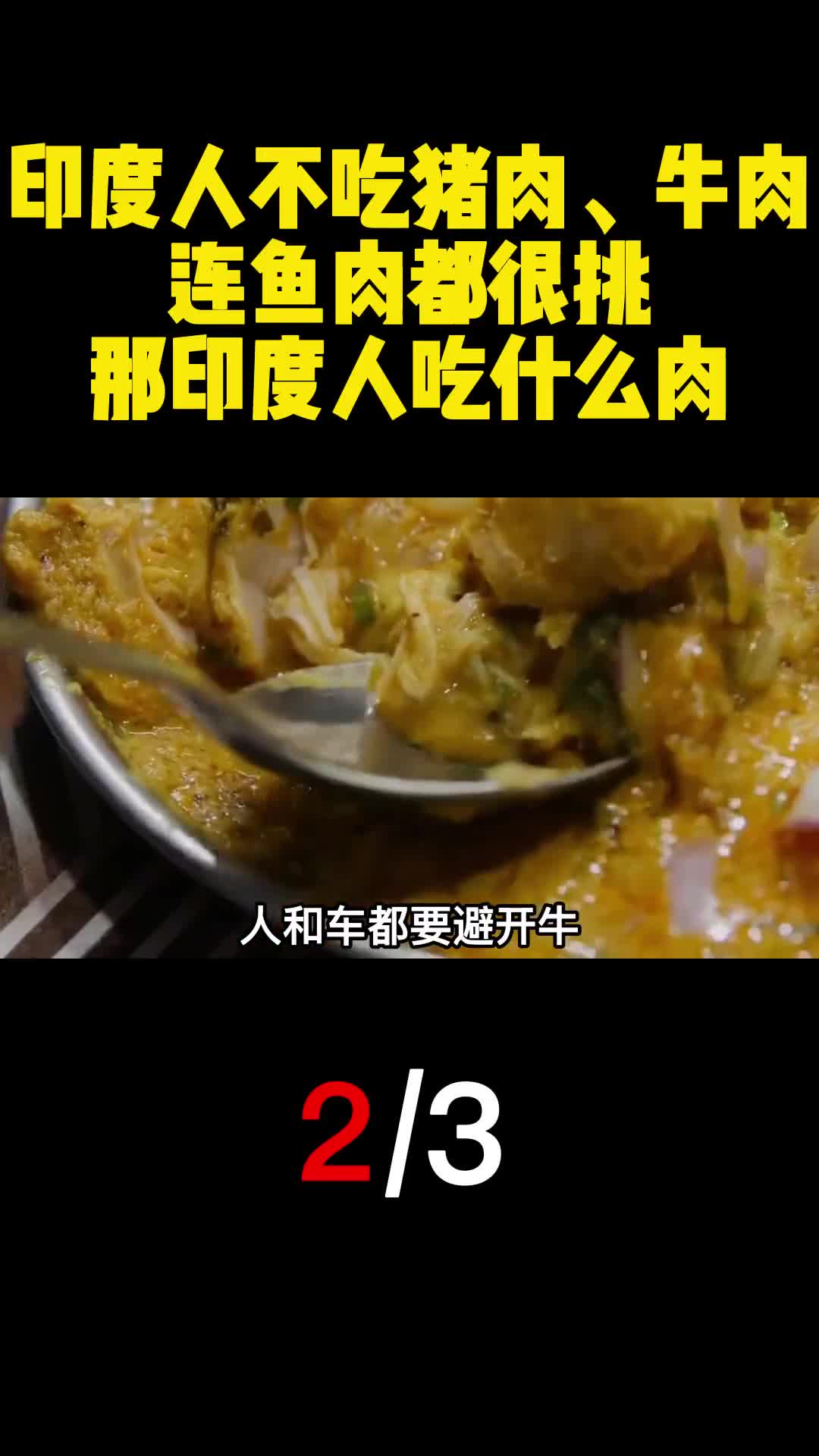 印度人不吃猪肉牛肉连鱼肉都很挑那印度人吃什么肉2