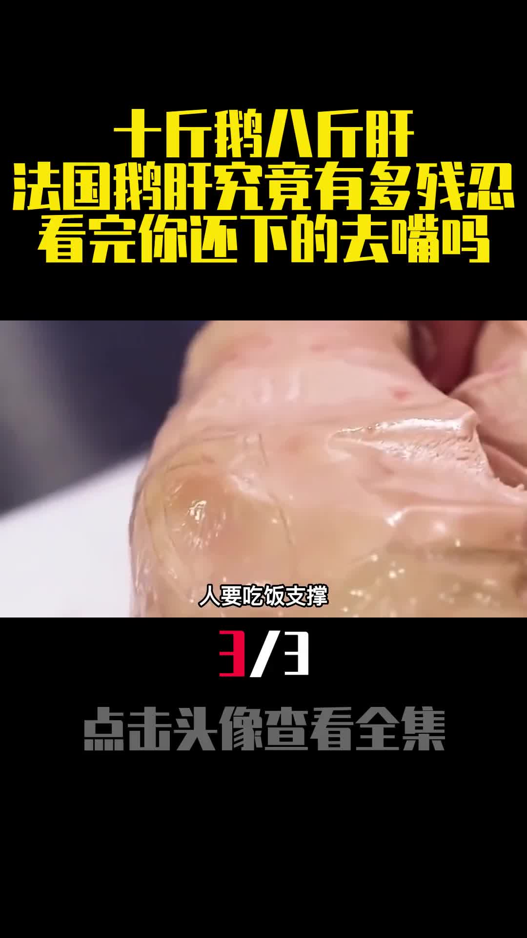 十斤鹅八斤肝法国鹅肝究竟有多残忍看完你还下的去嘴吗3