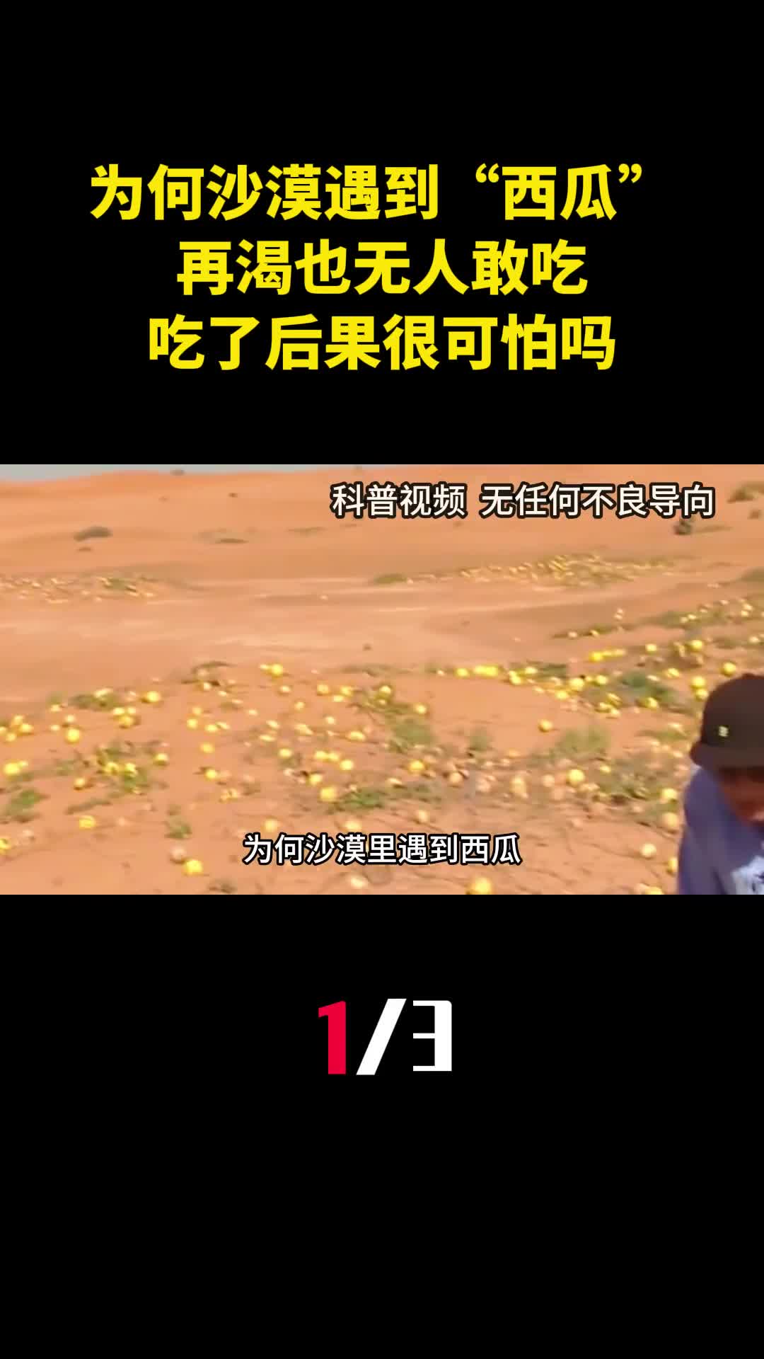 为何沙漠里遇到西瓜再渴也无人敢吃吃了后果很可怕吗1