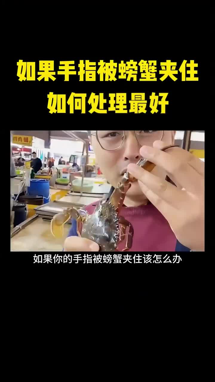 如果你的手指被螃蟹夹住应该怎么办
