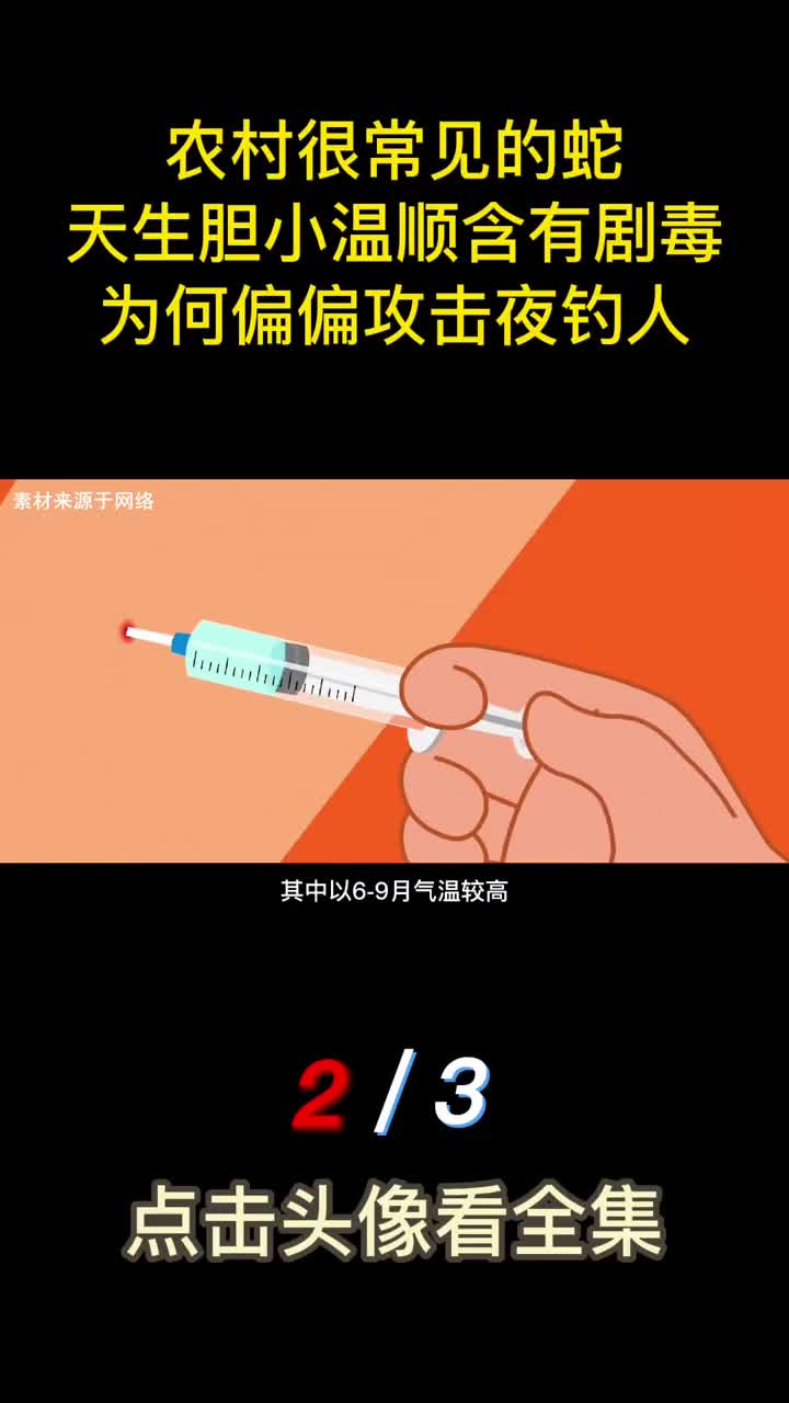 农村很常见的蛇天生胆小温顺含有剧毒为何偏偏攻击夜钓人