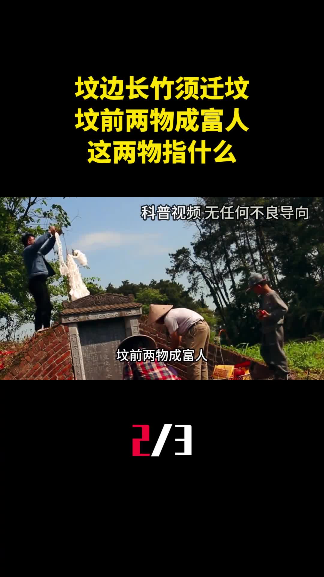 古话道坟边长竹须迁坟坟前两物成富人这两物指什么2