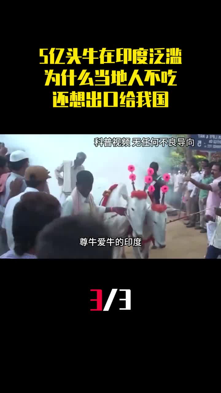 5亿头牛在印度泛滥成灾为什么当地人不吃还想出口给我国3