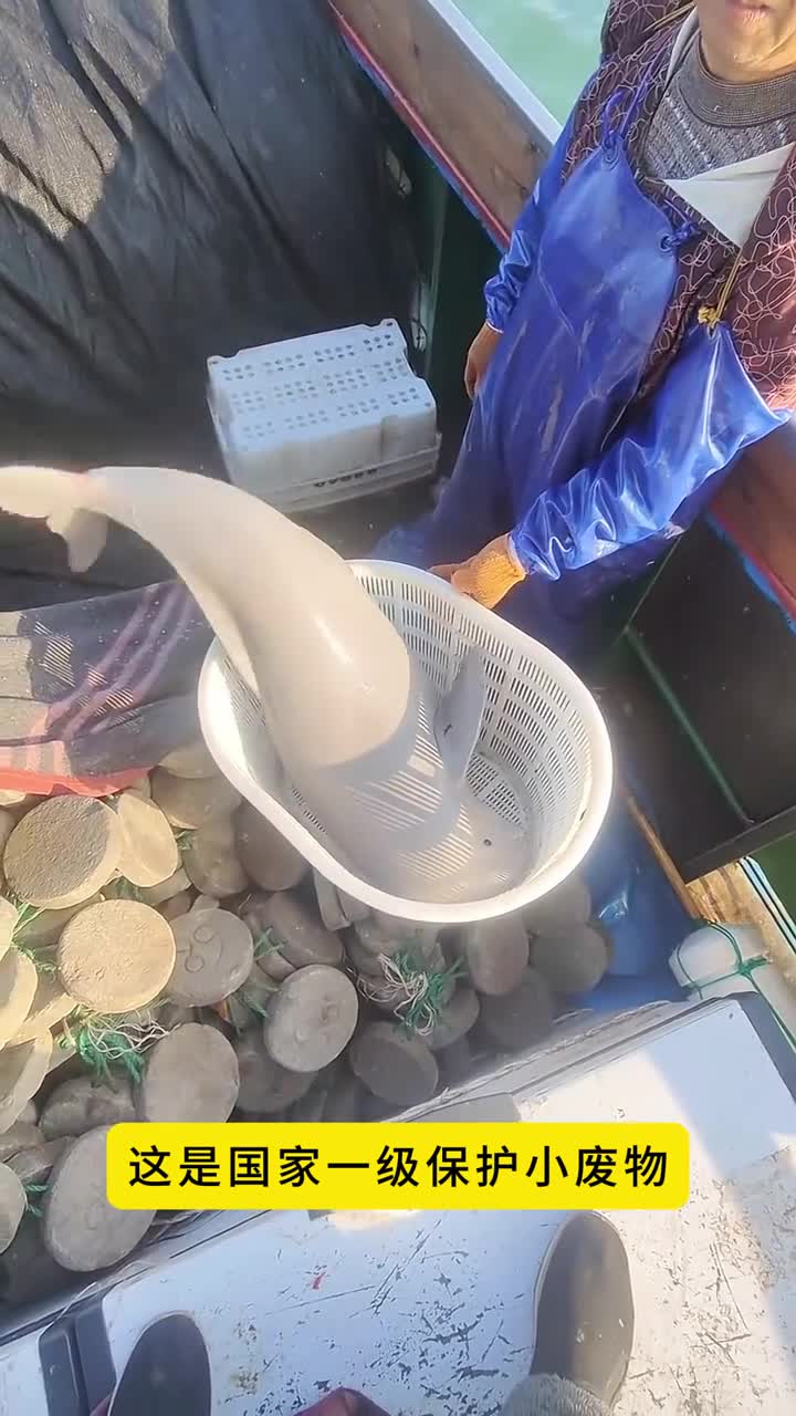 牢底坐穿鱼看到他赶紧跑