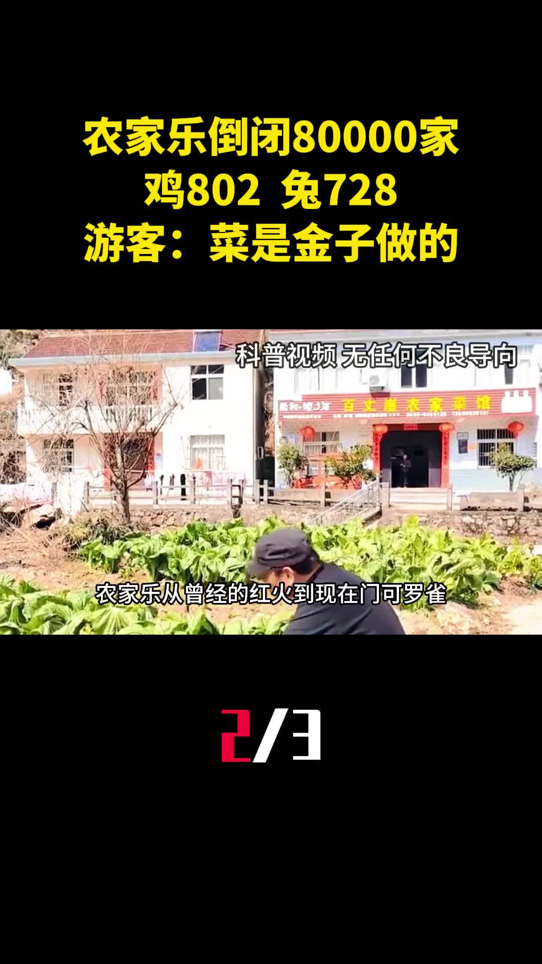农家乐倒闭80000家一只鸡802一头兔728游客菜是金子做的2