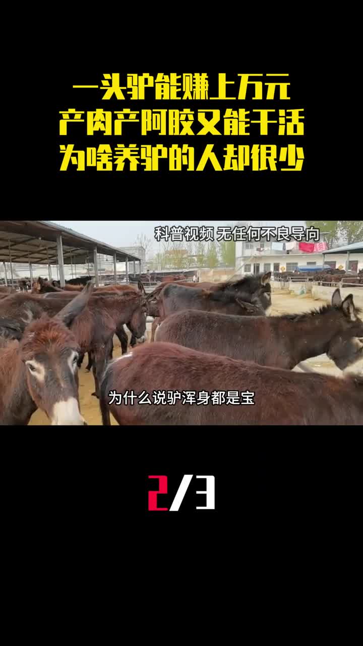 一头驴能赚上万元又能干活为啥养驴的人却很少2