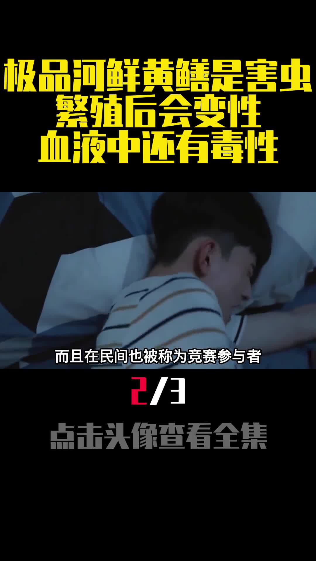 极品河鲜黄鳝是害虫繁殖后会变性血液中还有毒性2