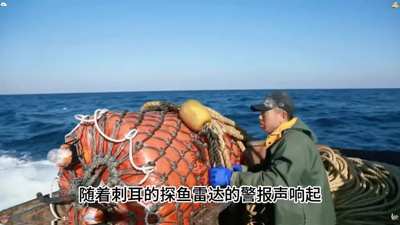 这种鱼口感鲜美细腻被誉为富人餐桌上的砖石