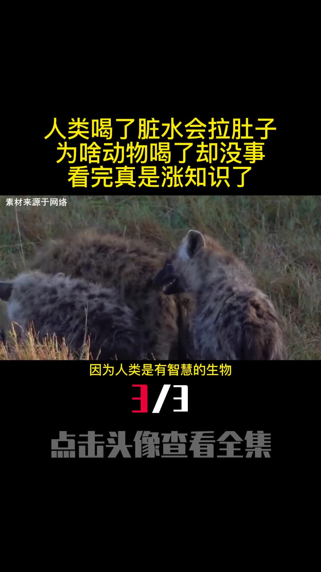 人类喝了脏水会拉肚子为啥动物喝了却没事看完真是涨知识了3