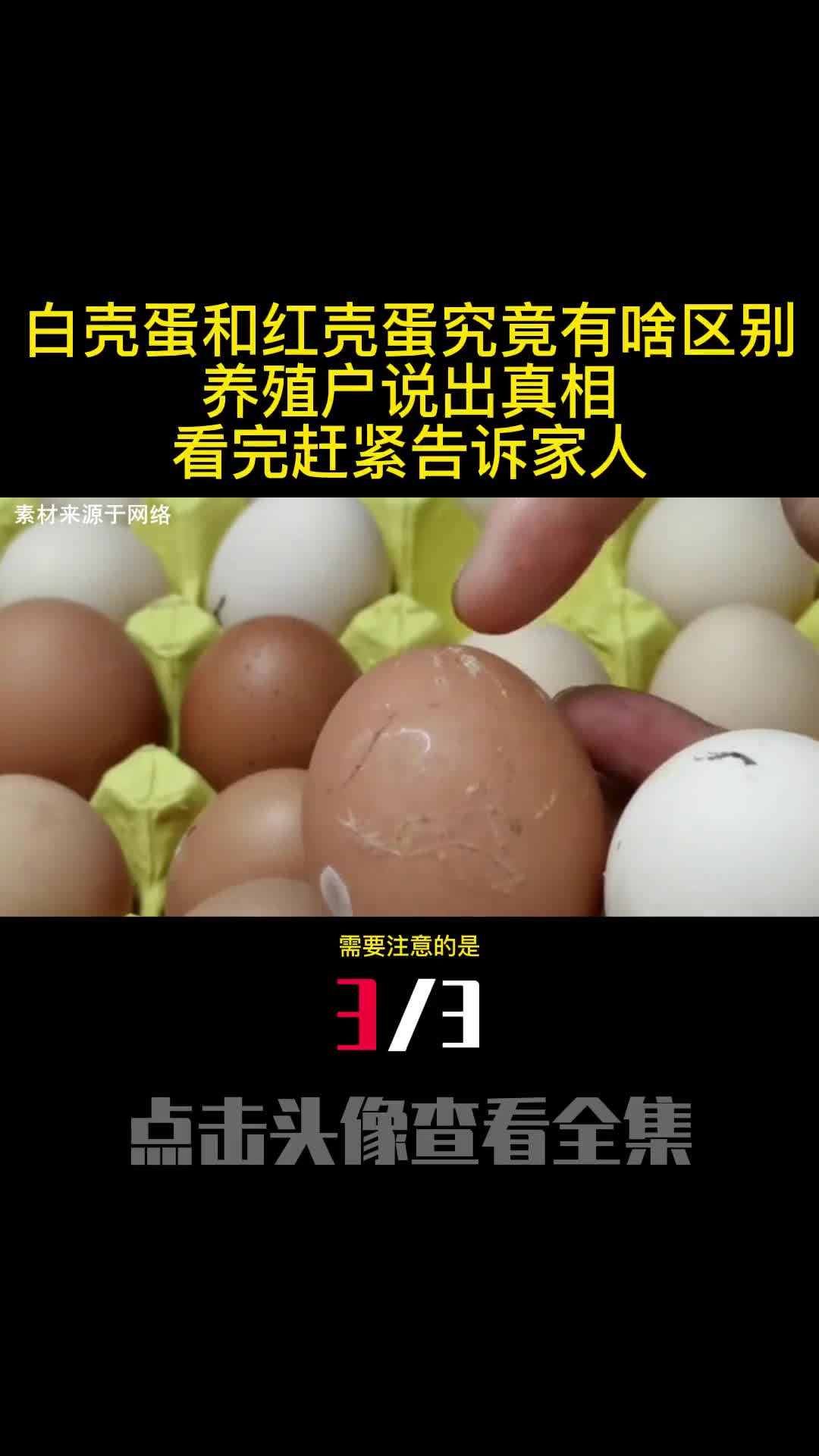 白壳蛋和红壳蛋究竟有啥区别养殖户说出真相看完赶紧告诉家人3