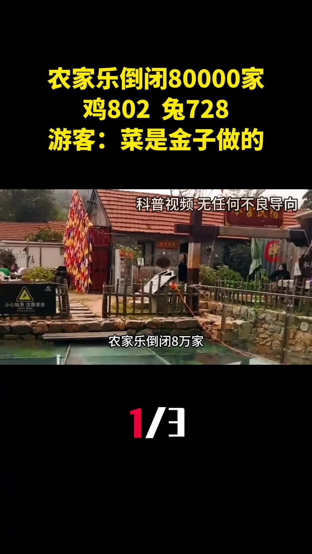 农家乐倒闭80000家一只鸡802一头兔728游客菜是金子做的1