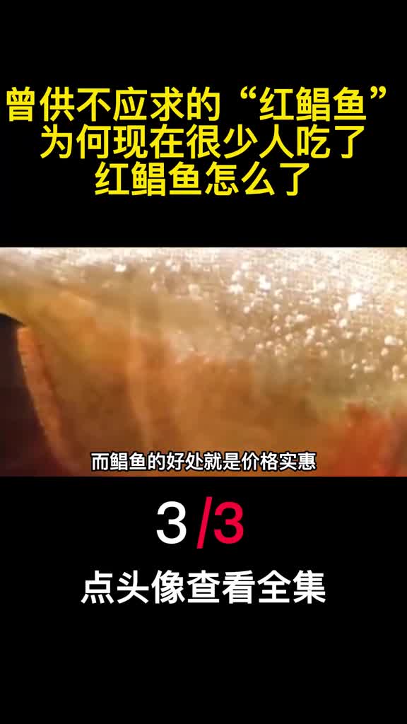 曾供不应求的红鲳鱼为何现在很少人吃了红鲳鱼怎么了3