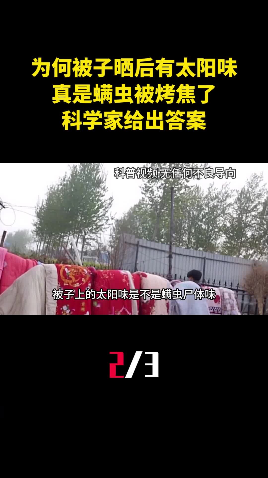 为何被子晒后有太阳味真是螨虫被烤焦了科学家给出答案2
