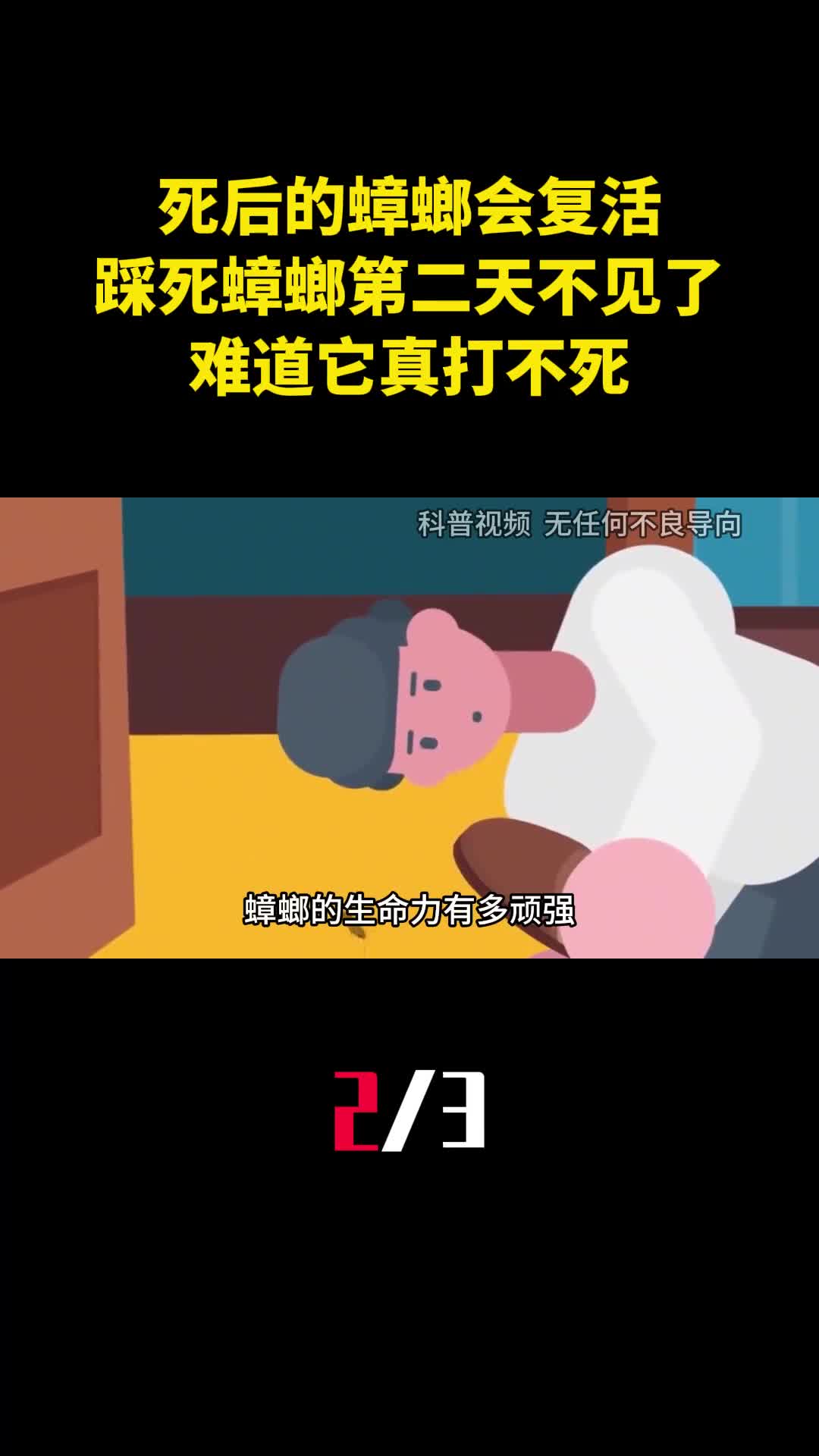 死后的蟑螂会复活为何踩死蟑螂第二天不见了难道它真打不死2