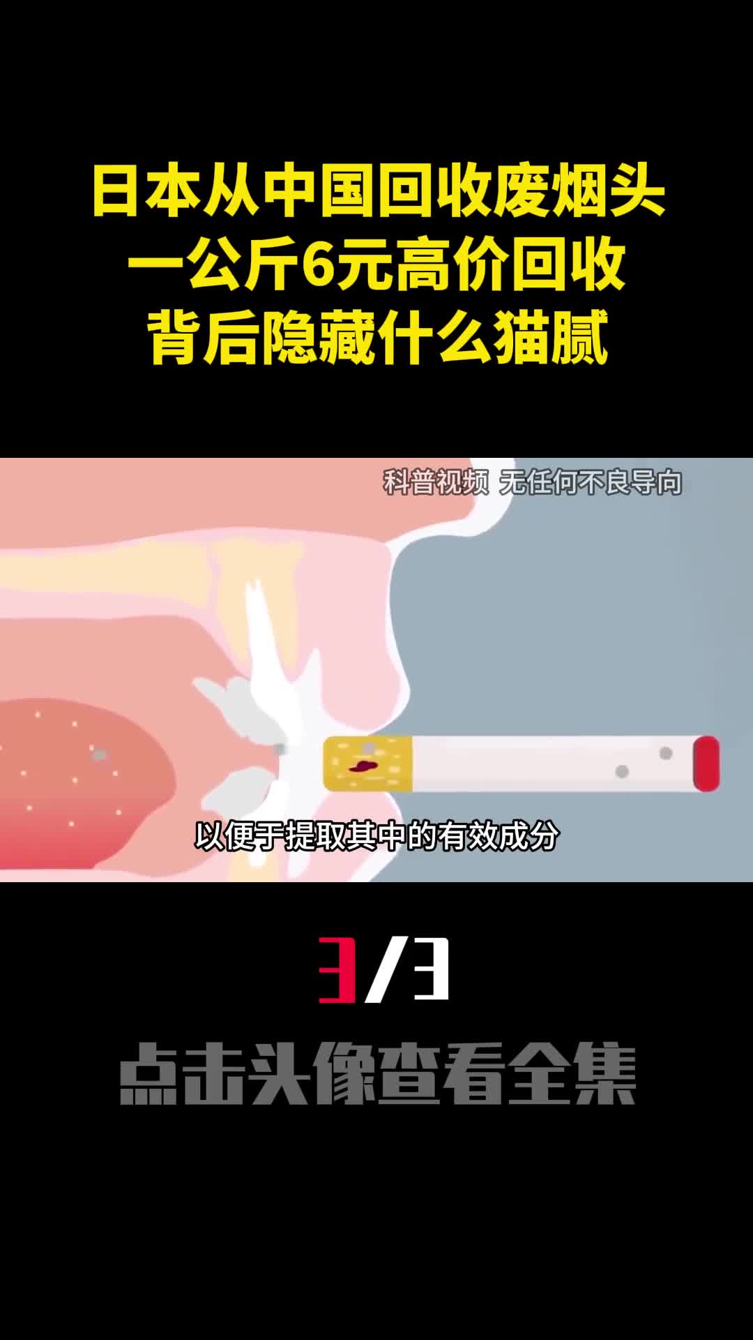日本从中国回收废烟头一公斤6元高价回收背后隐藏什么猫腻3