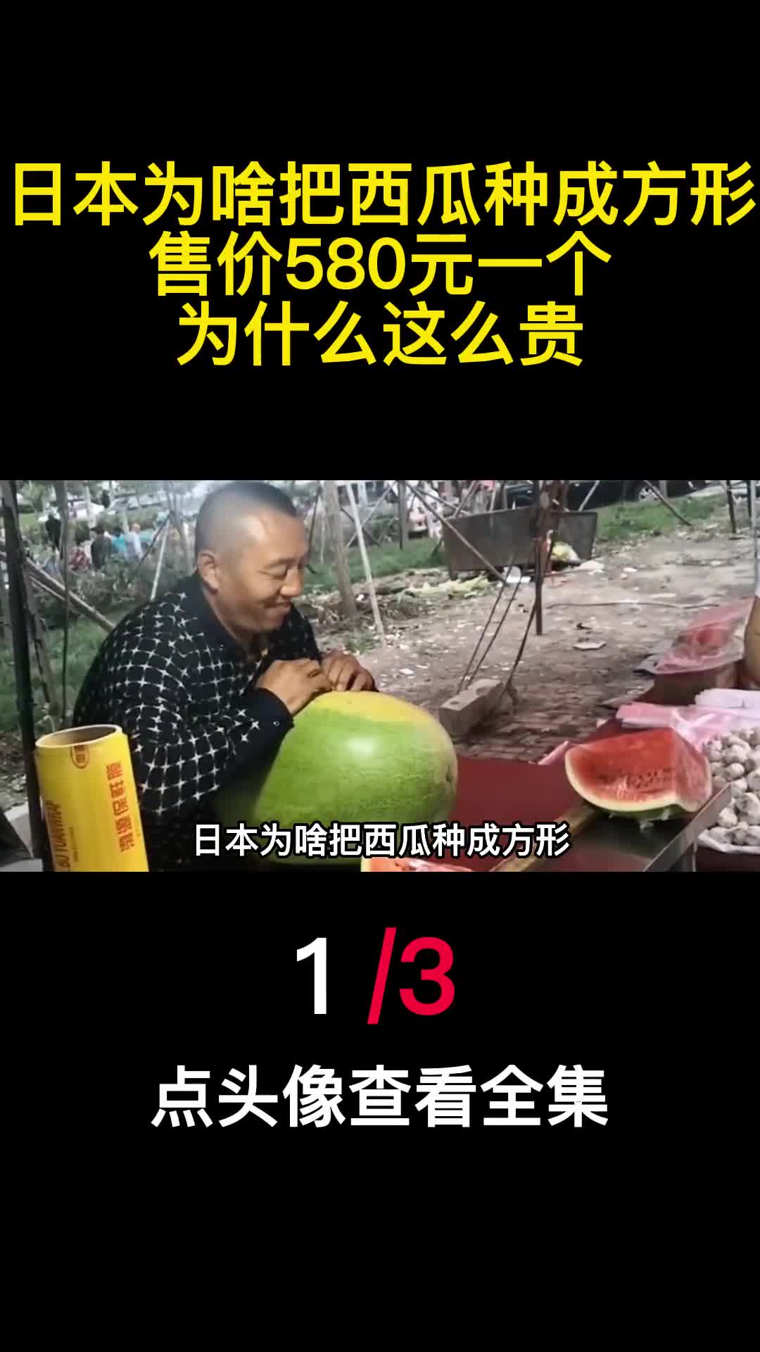 日本为啥把西瓜种成方形售价580元一个为什么这么贵1