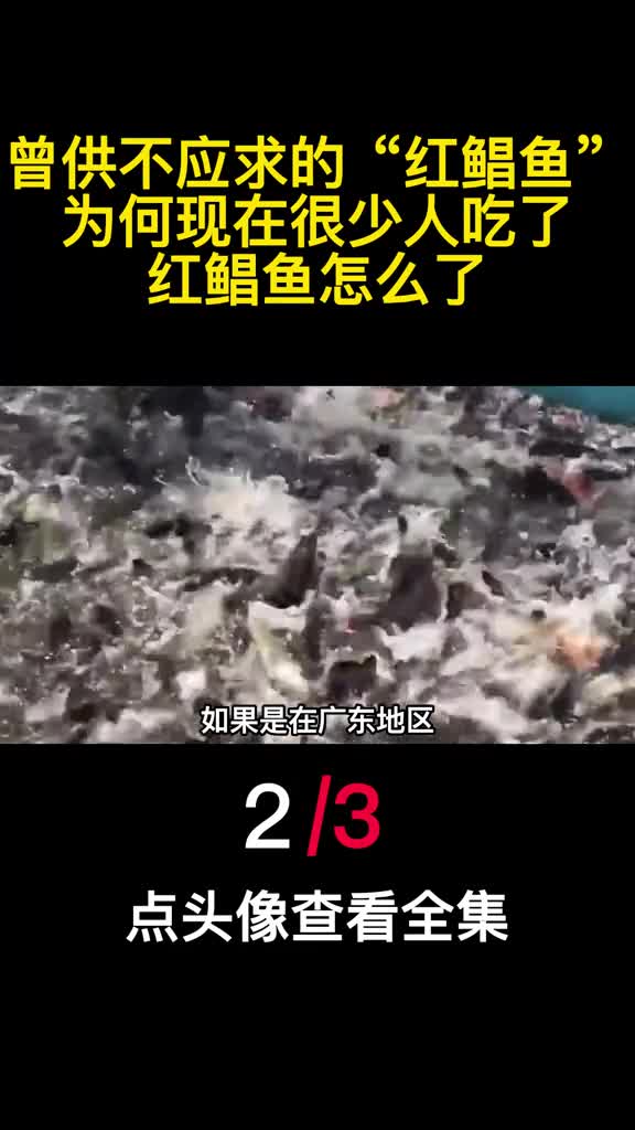 曾供不应求的红鲳鱼为何现在很少人吃了红鲳鱼怎么了2