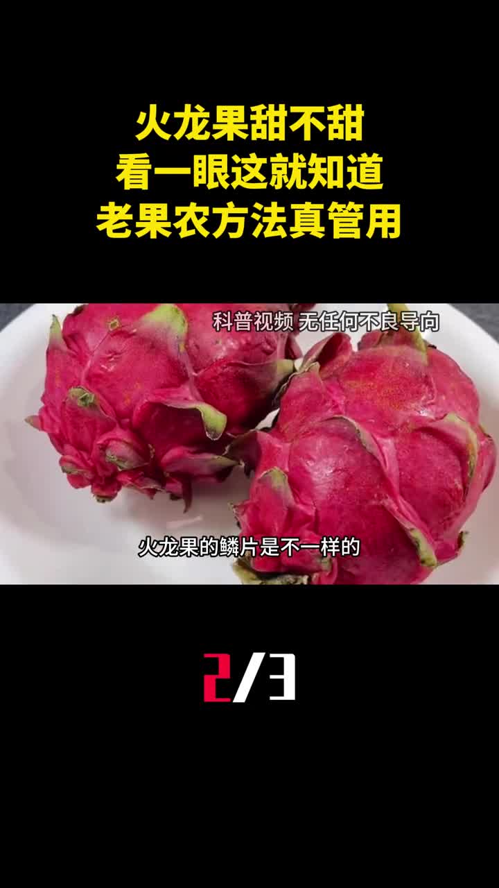 火龙果甜不甜看一眼这个地方就知道老果农方法真管用2