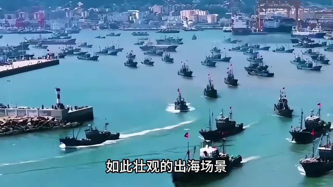 你有见过如此震撼的出海采收海带的场景吗