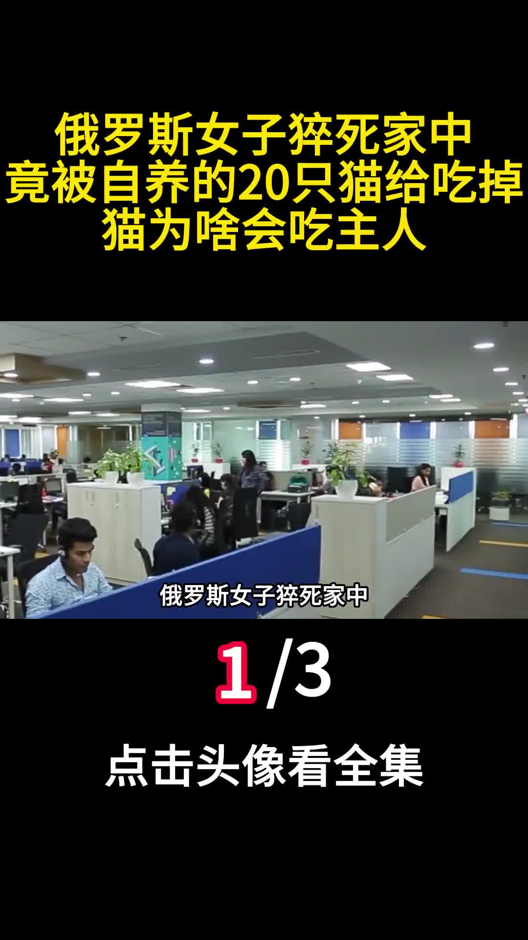 俄罗斯女子猝死家中竟被自养的20只猫给吃掉猫为啥会吃主人1