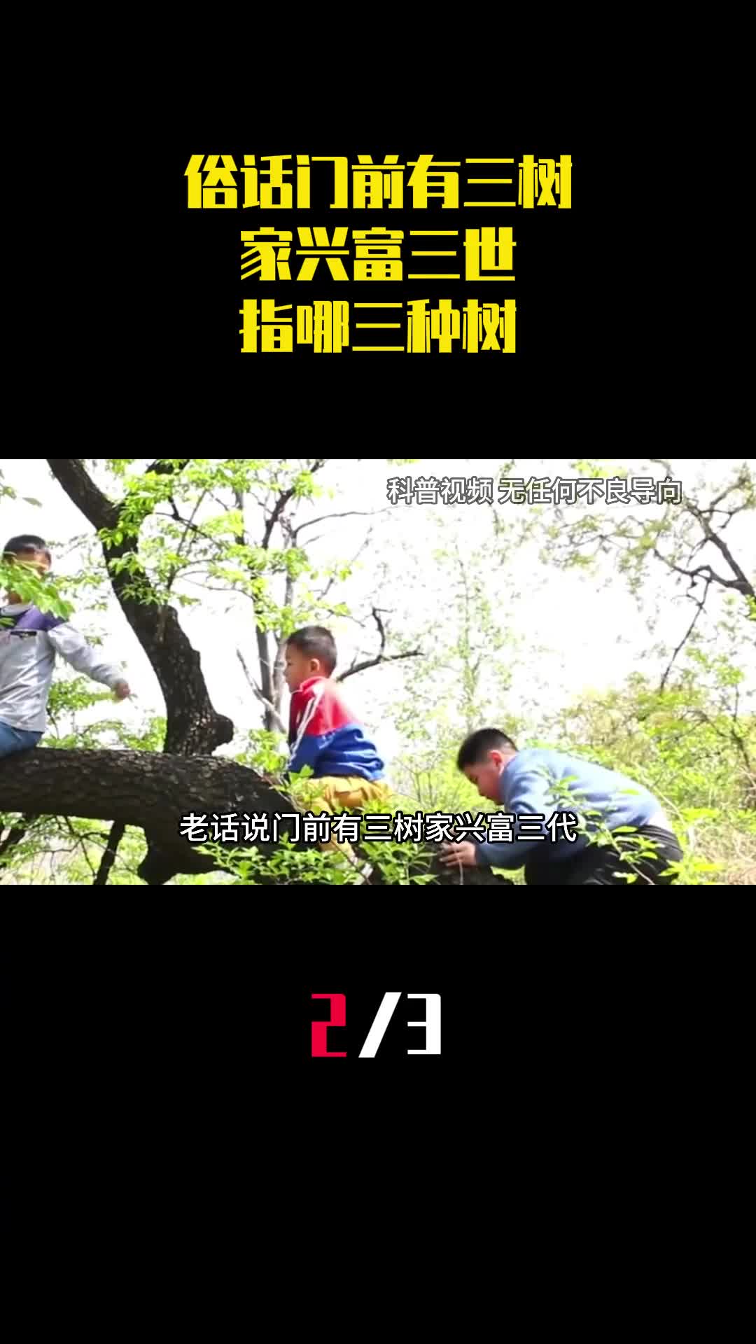 俗话门前有三树家兴富三世指哪三种树你家种有吗2