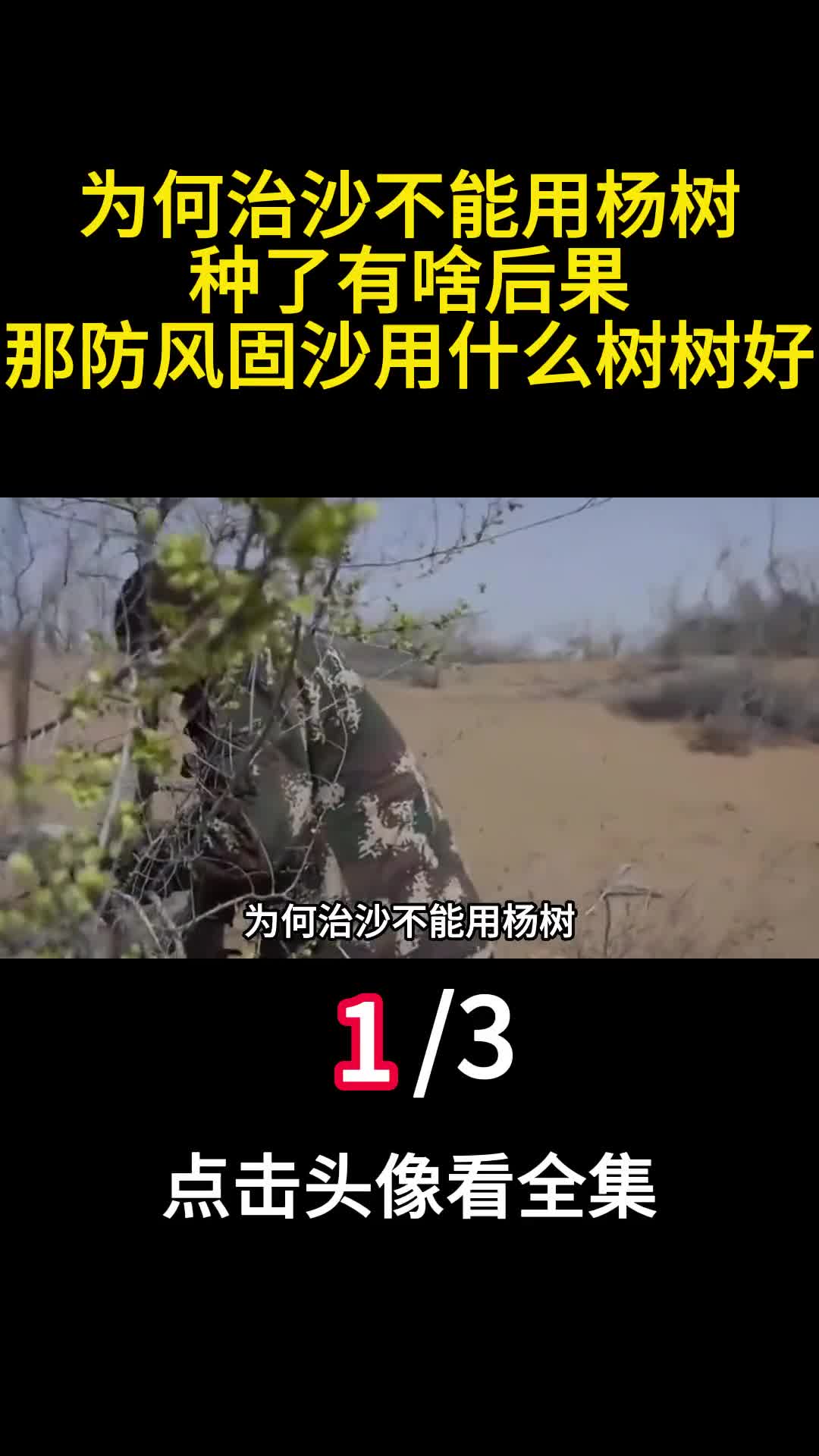 为何治沙不能用杨树种了有啥后果那防风固沙用什么树树好1