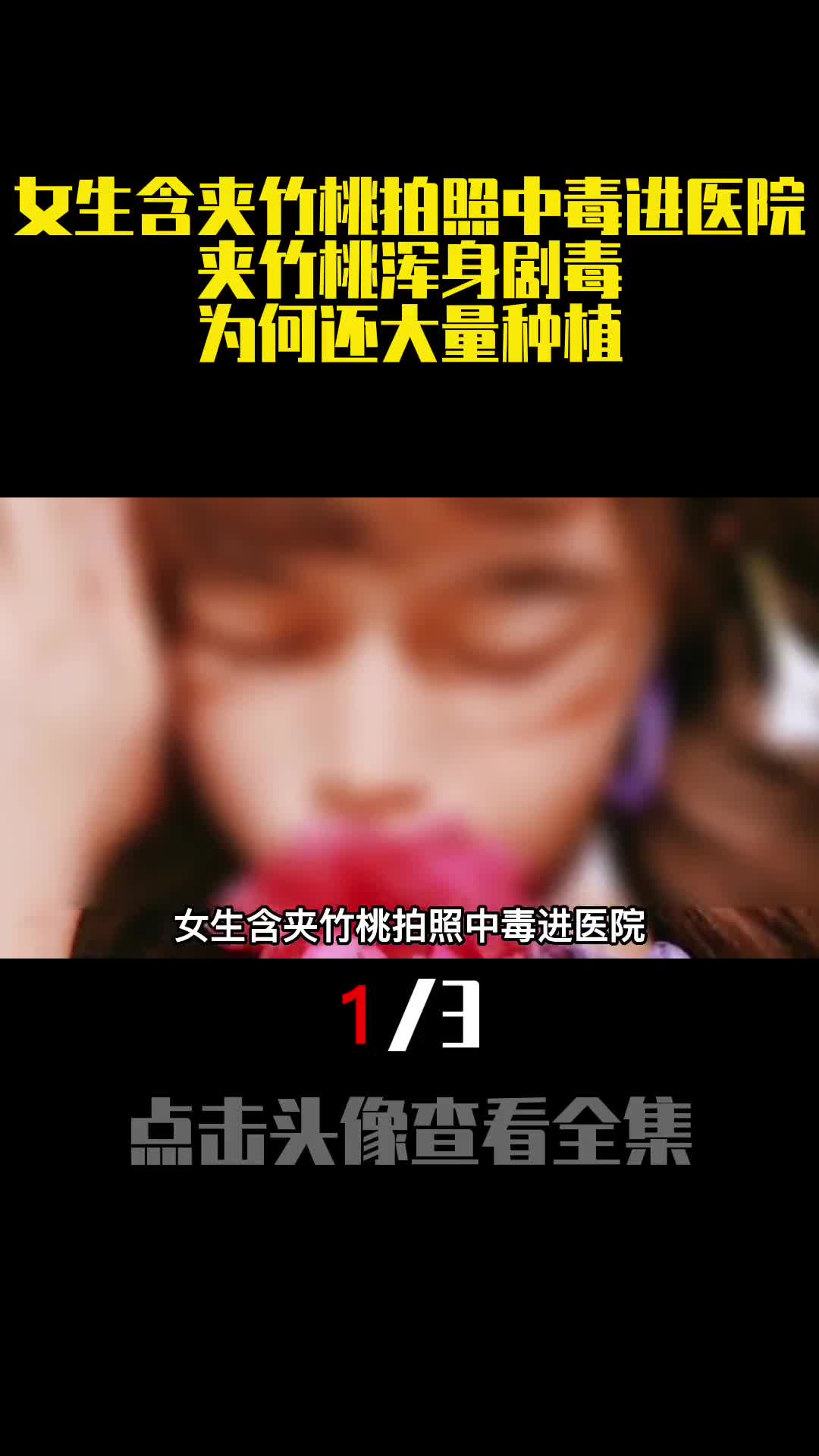 女生含夹竹桃拍照中毒进医院夹竹桃浑身剧毒为何还大量种植1