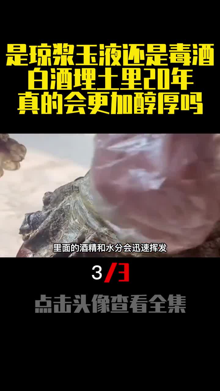 是琼浆玉液还是毒酒白酒埋土里20年真的会更加醇厚吗3