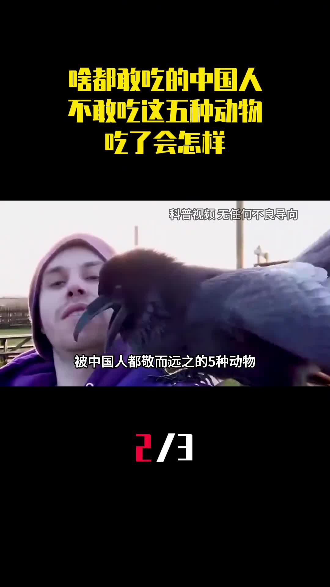 啥都敢吃的中国人为什么不敢吃这五种动物吃了会怎样2