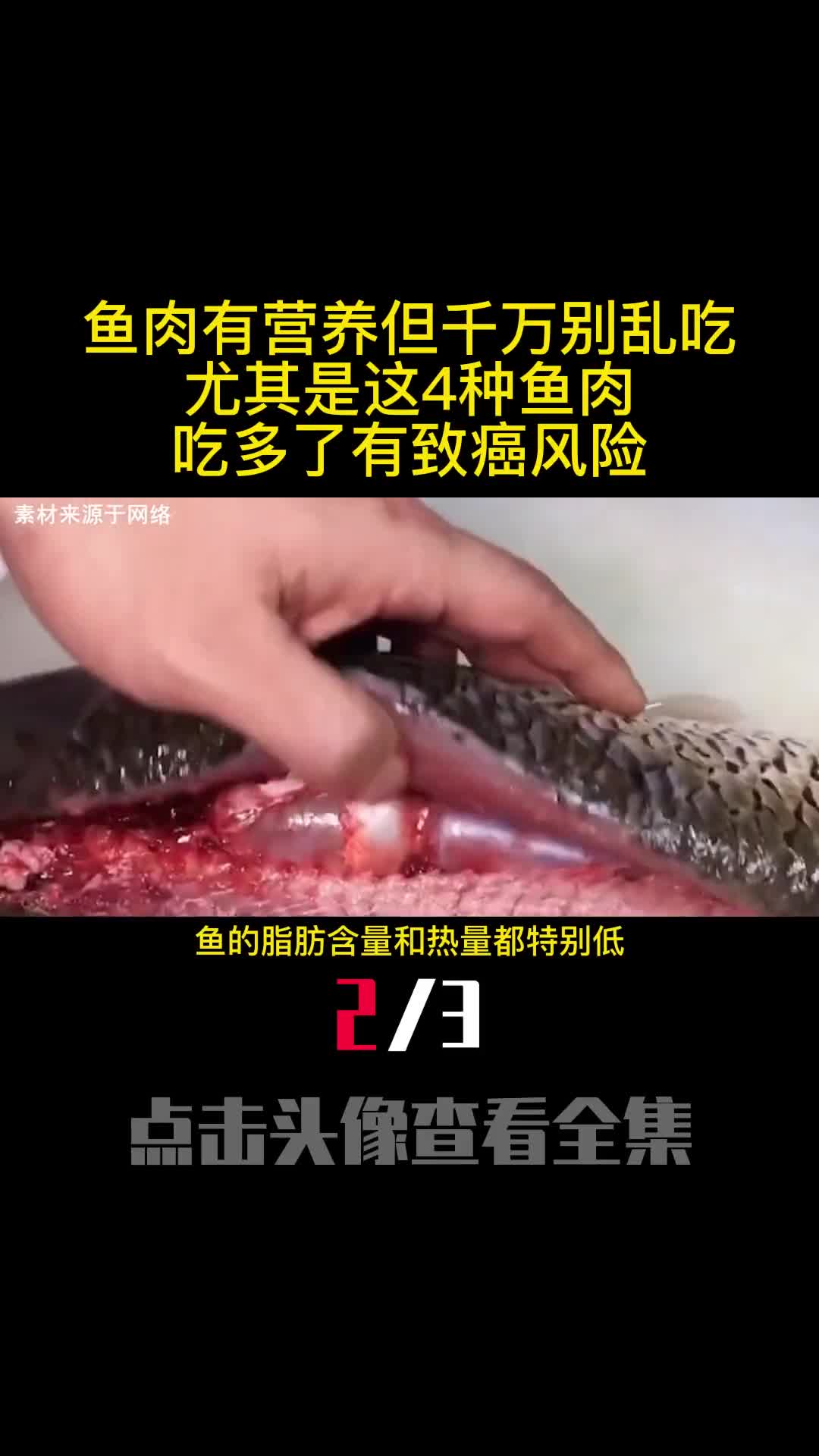 鱼肉有营养但千万别乱吃尤其是这4种鱼肉吃多了有致癌风险2